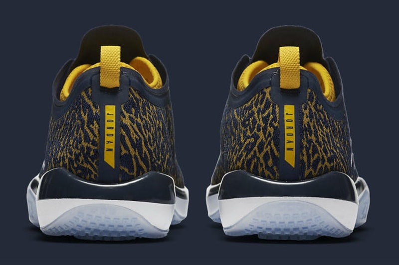 University of Michigan  Jordan Trainer 1 Low