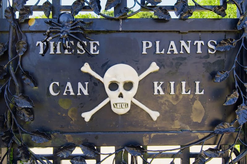 Enter the Deadliest Garden in the World