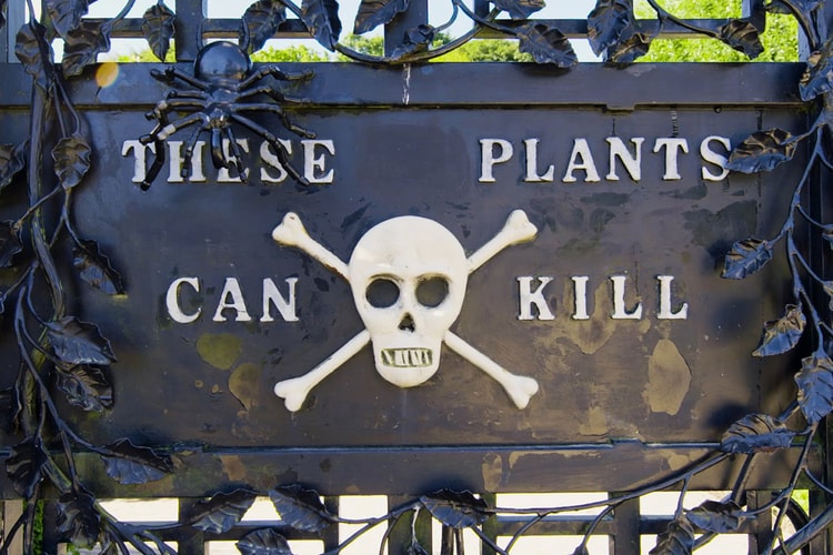 Enter the Deadliest Garden in the World