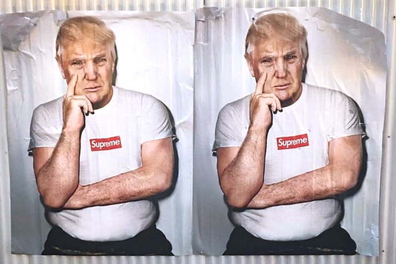 Kidult Donald Trump Supreme Box Logo Posters