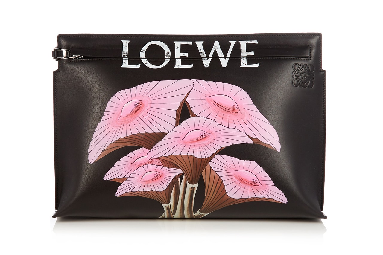 Loewe hand painted Leather Pouches orange green brown pink