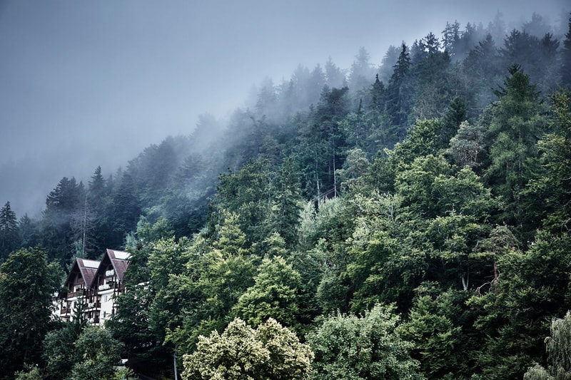 MiraMonti Boutique hotel wood modern nature