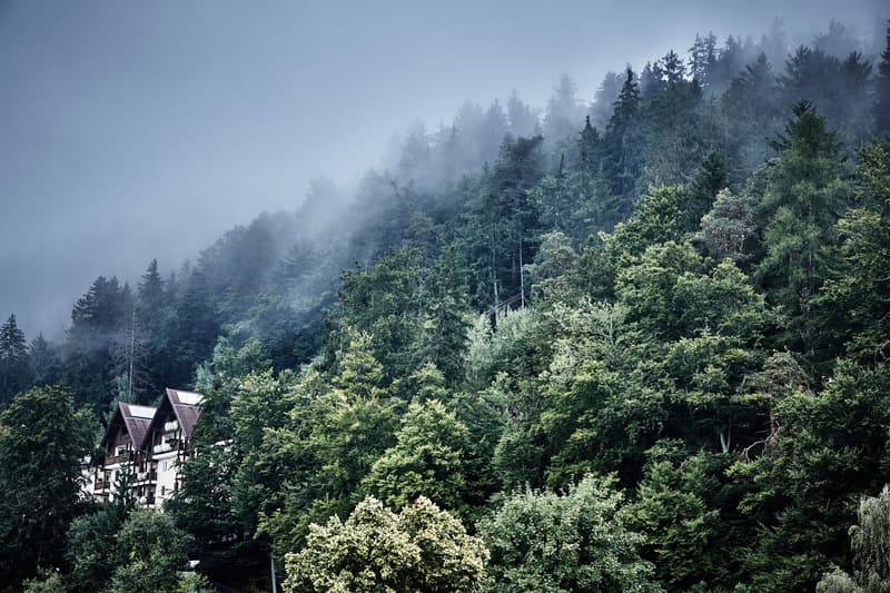 MiraMonti Boutique hotel wood modern nature