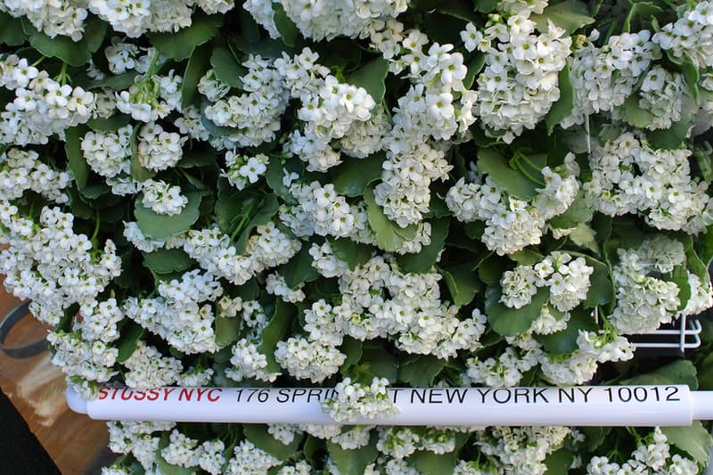 Stussy Flower cart