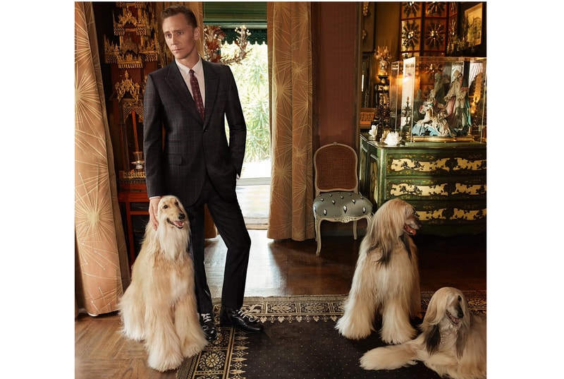 Tom Hiddleston Models for New Gucci Campaign Ads dog Taylor Swift Cruise 2017
