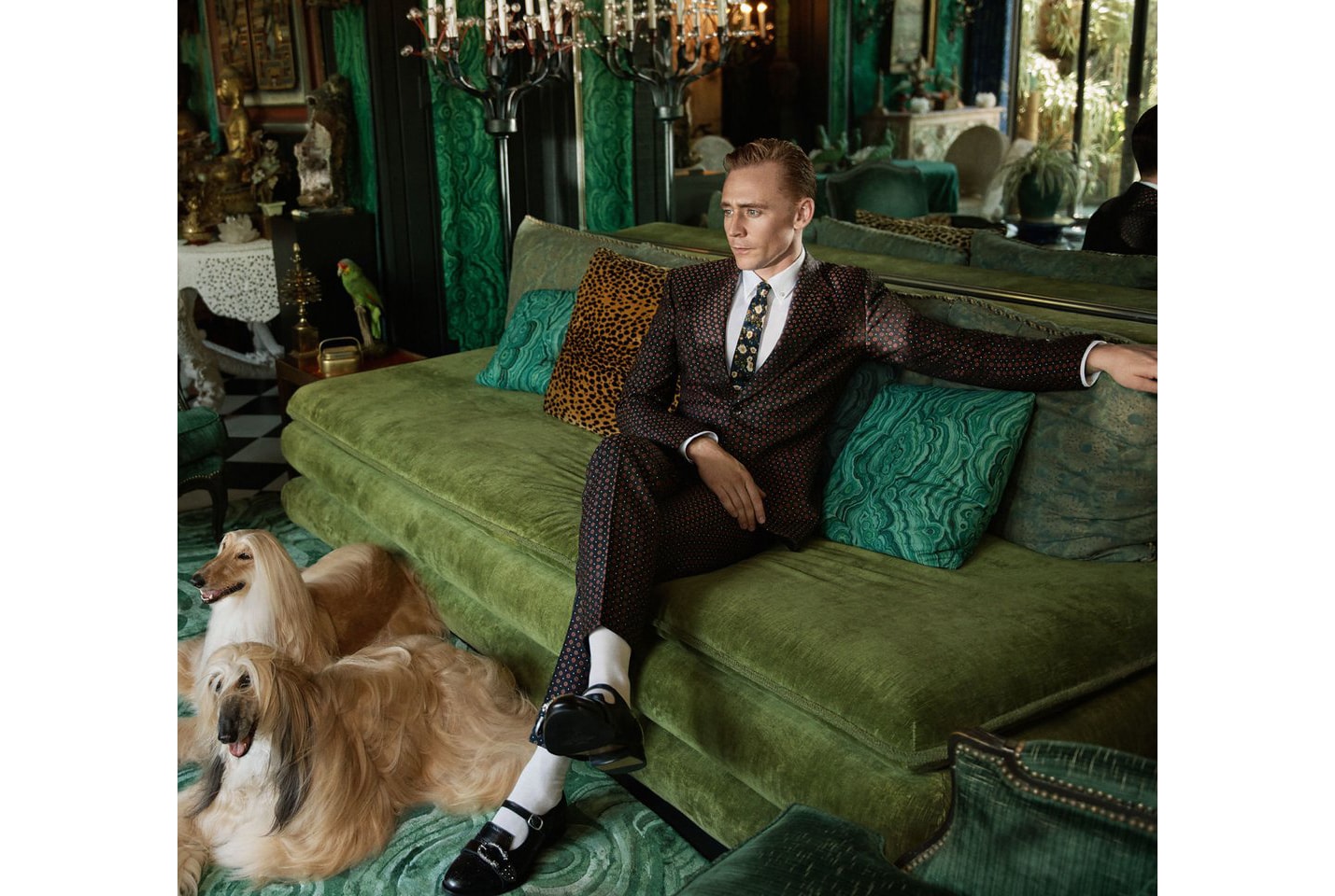 Tom Hiddleston Models for New Gucci Campaign Ads dog Taylor Swift Cruise 2017