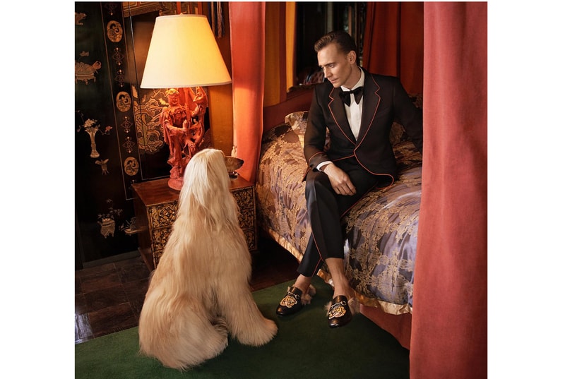 Tom Hiddleston Models for New Gucci Campaign Ads dog Taylor Swift Cruise 2017