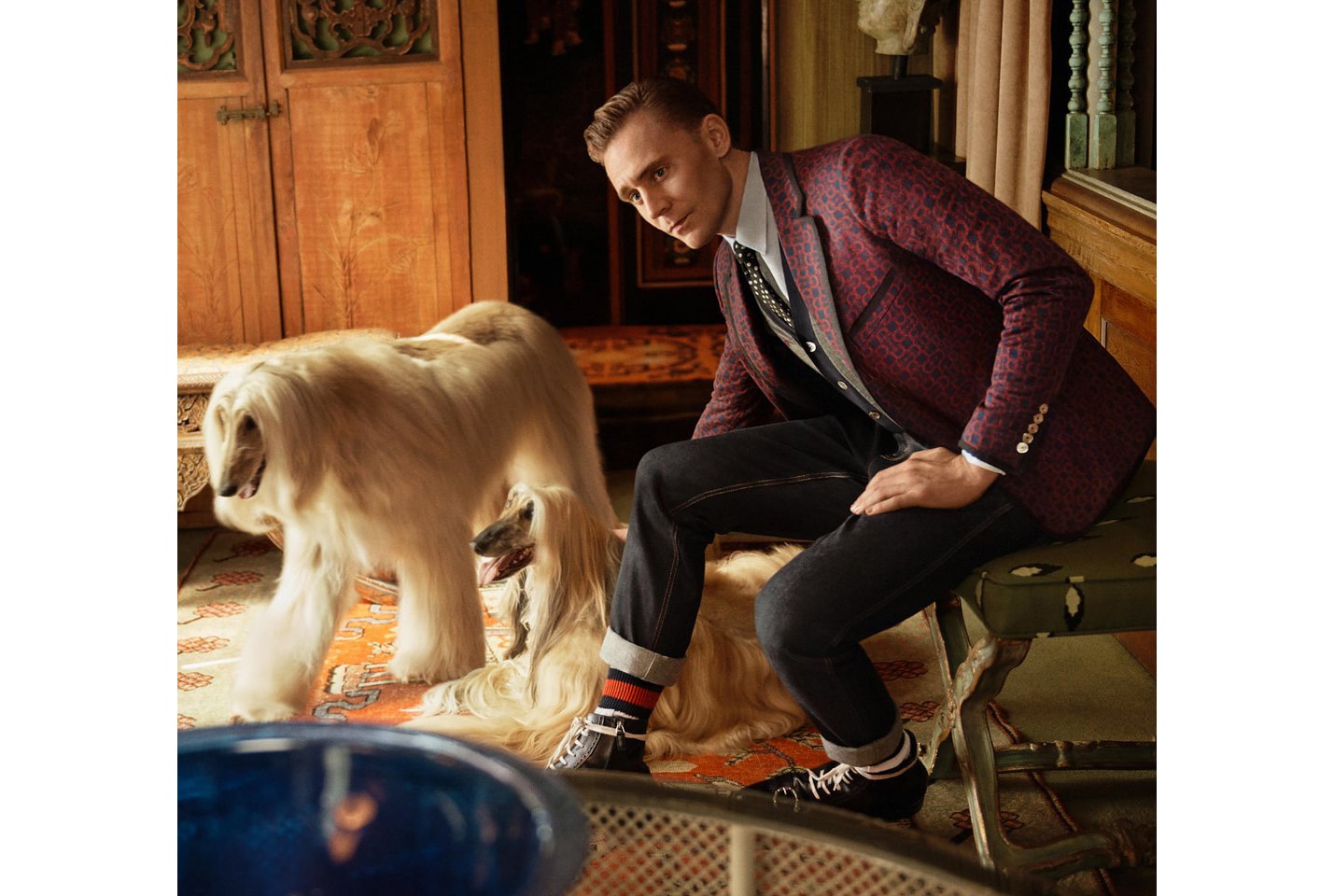 Tom Hiddleston Models for New Gucci Campaign Ads dog Taylor Swift Cruise 2017