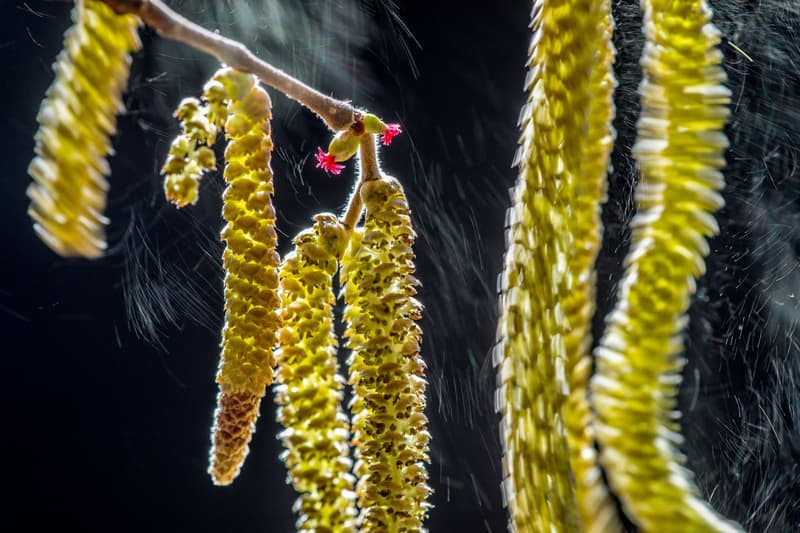 2016 Wildlife Photographer of the Year Awards