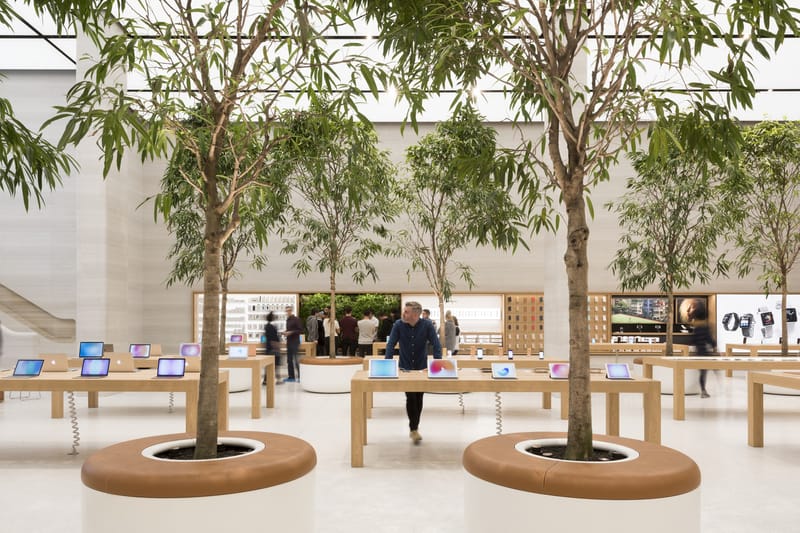 Apple's New Regent Street Location Uses Indoor Trees to Complement Its Ultra Modern Atmosphere