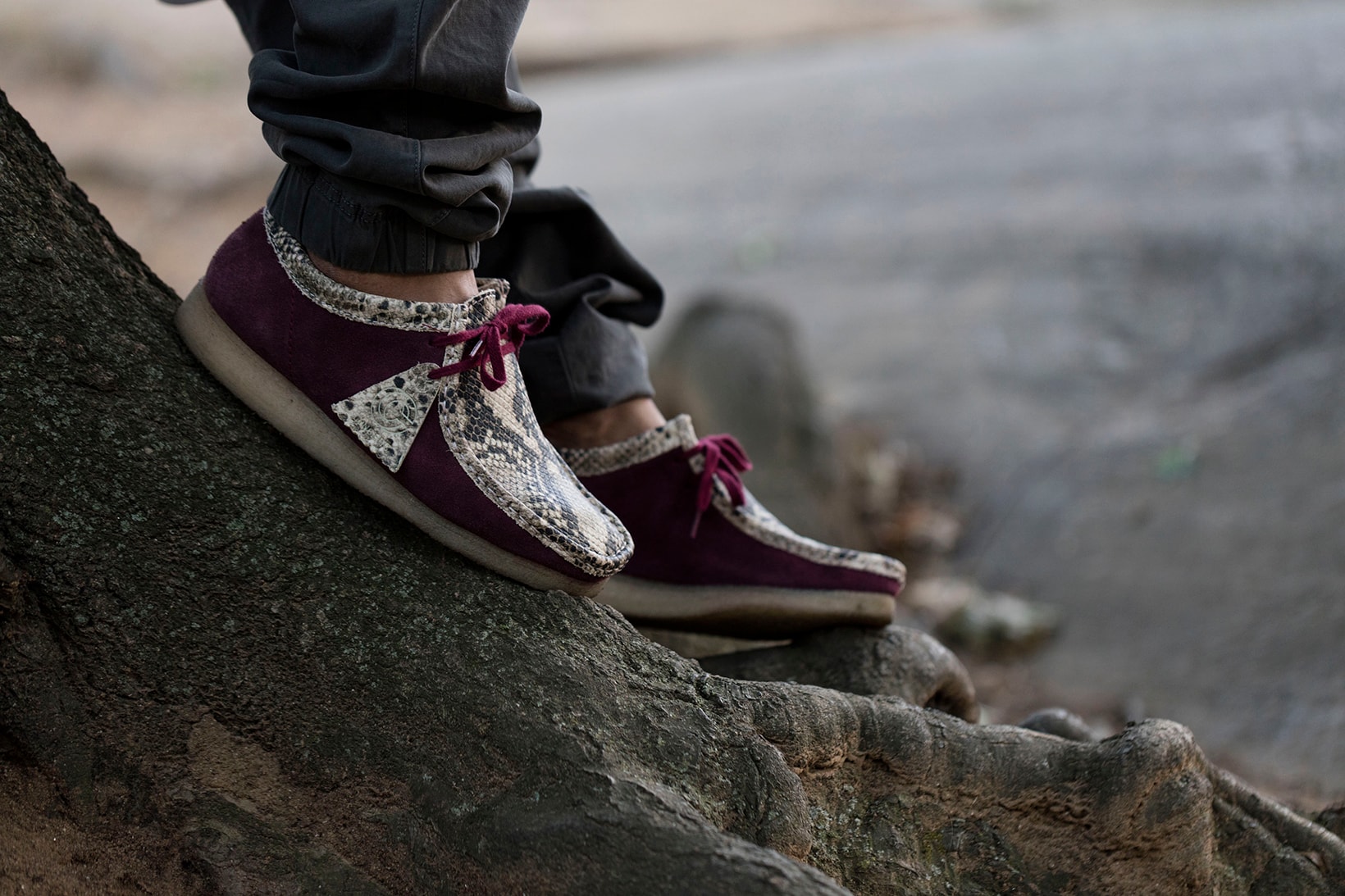 Concepts x Clarks Wallabee Moc in Snakeskin Burgundy Suede |