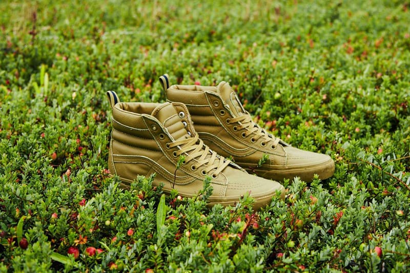 vans mte meaning