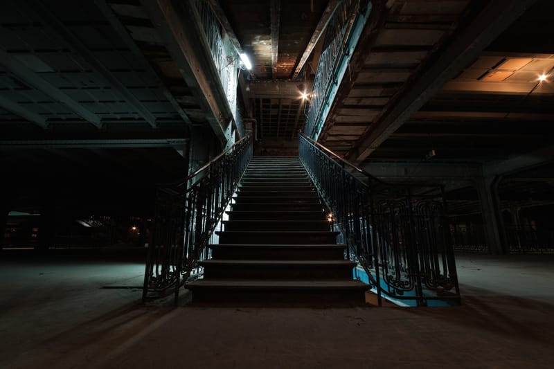 Experience the Secret Side of Paris Through Google's Curio-cité Series