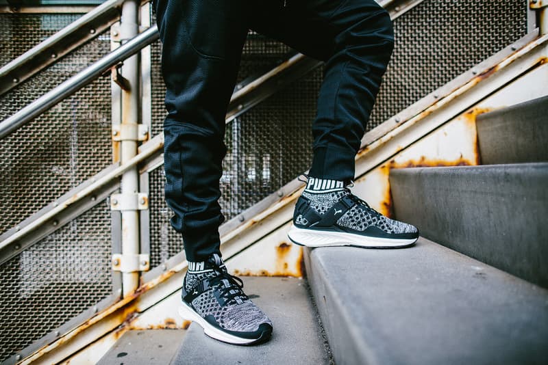 Insighting PUMA IGNITE evoKNIT NYC