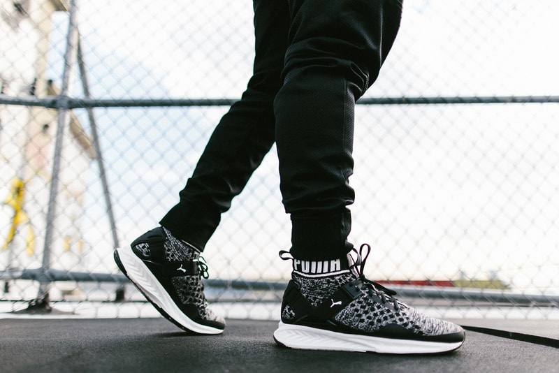 Insighting PUMA IGNITE evoKNIT NYC