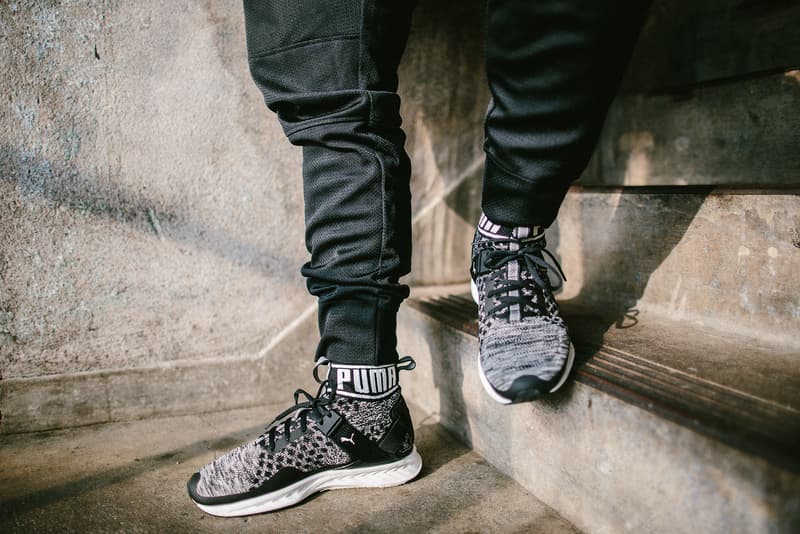 Insighting PUMA IGNITE evoKNIT NYC