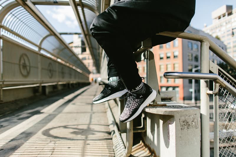 Insighting PUMA IGNITE evoKNIT NYC