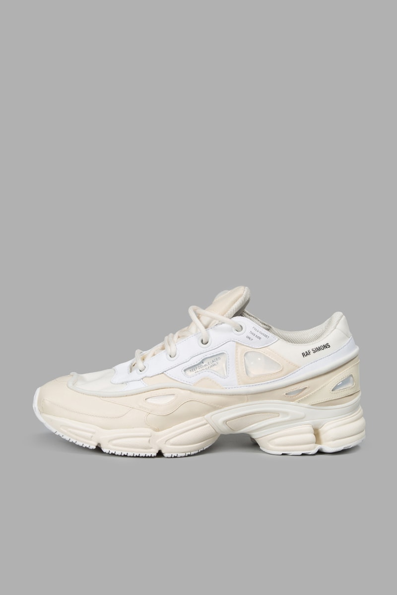 Raf Simons 2017 Spring/Summer Robert Mapplethorpe