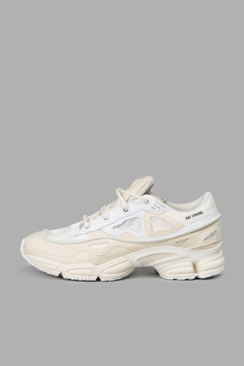 Raf Simons 2017 Spring/Summer Robert Mapplethorpe