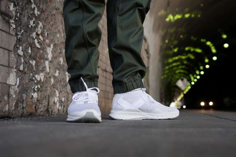 PUMA IGNITE evoKNIT sneaker Southside Los Angeles