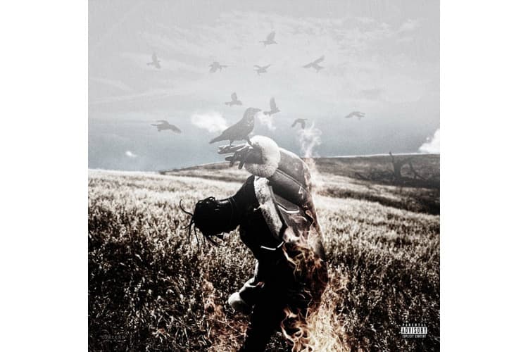 Stream Travis Scott Days Before Birds