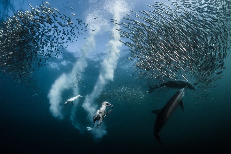 2016 Siena International Photography Awards
