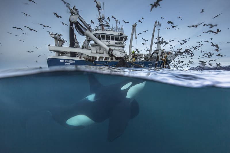 2016 Siena International Photography Awards