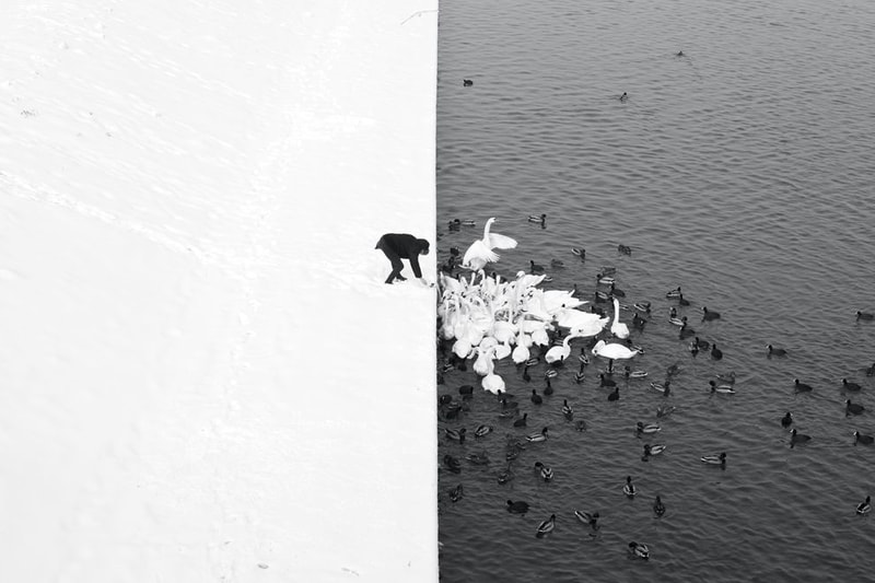2016 Siena International Photography Awards