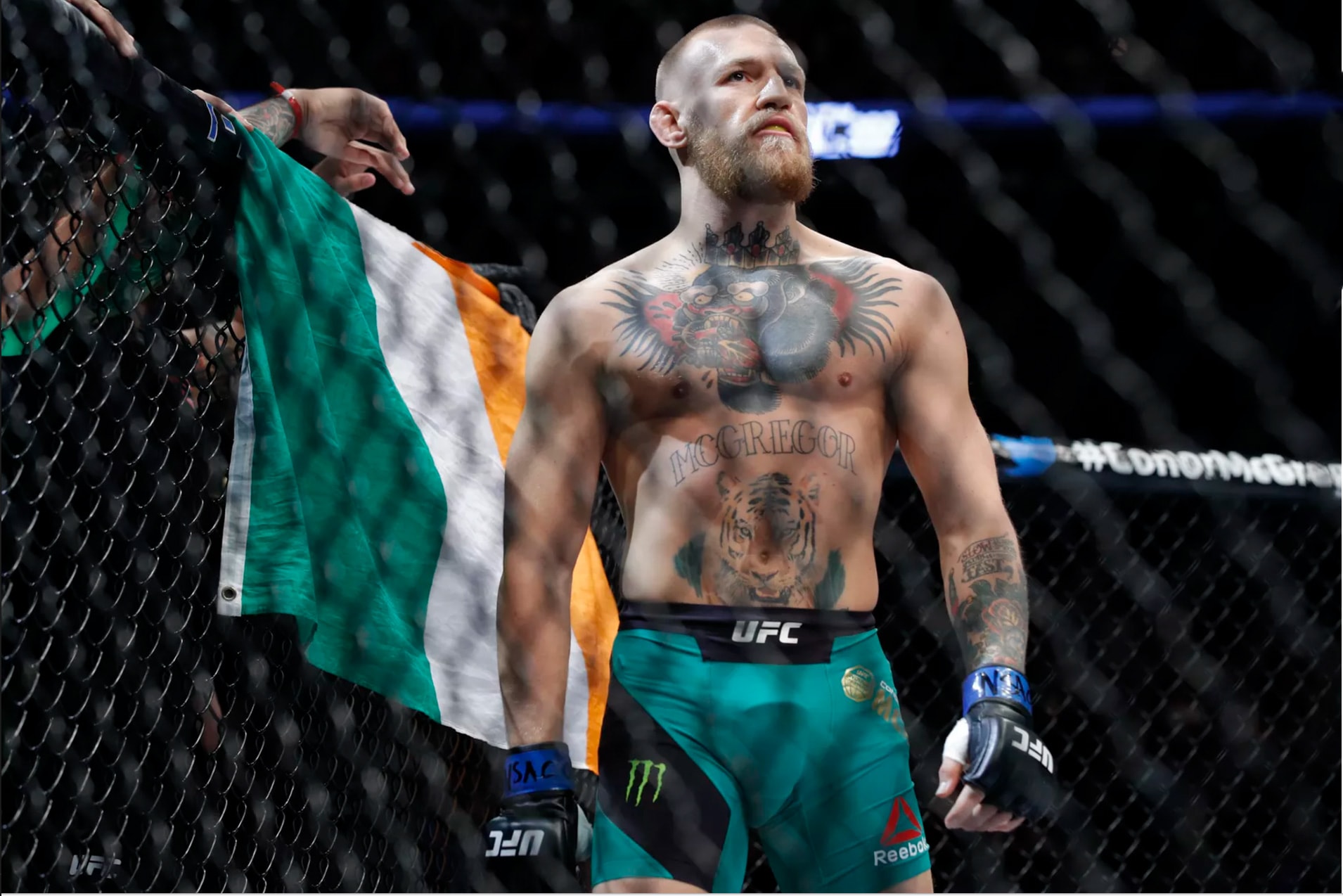 Conor McGregor Has Been Issued a Boxing License in California MMA UFC Floyd Mayweather Dana White