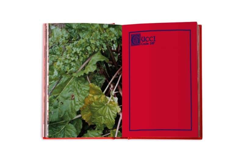 Gucci Limited Edition Blind for Love Photo Book Gucci Cruise 2017