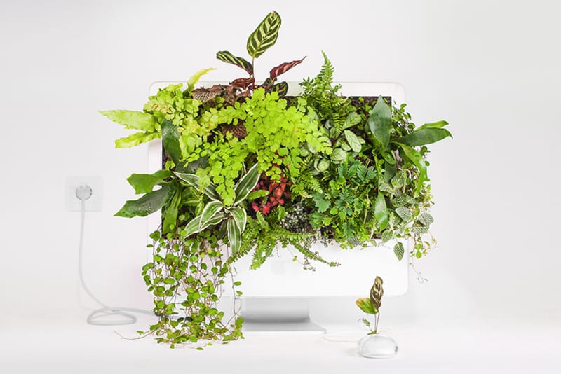 Parisian Artist Turns Old Apple Products Into Plants