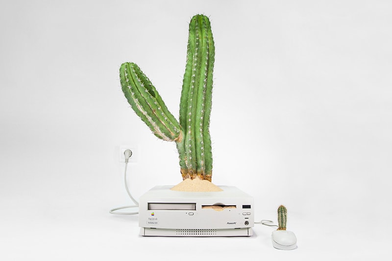 Monsieur Plant Apple Products Turned Into Plants | Hypebeast