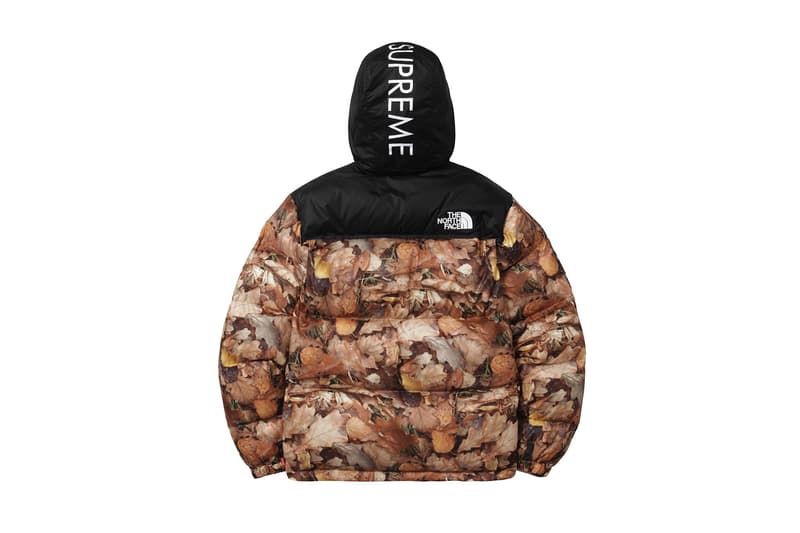 Supreme x The North Face 2016 Fall/Winter Jackets, Real Tree Camo, Tree Camo, Nuptse