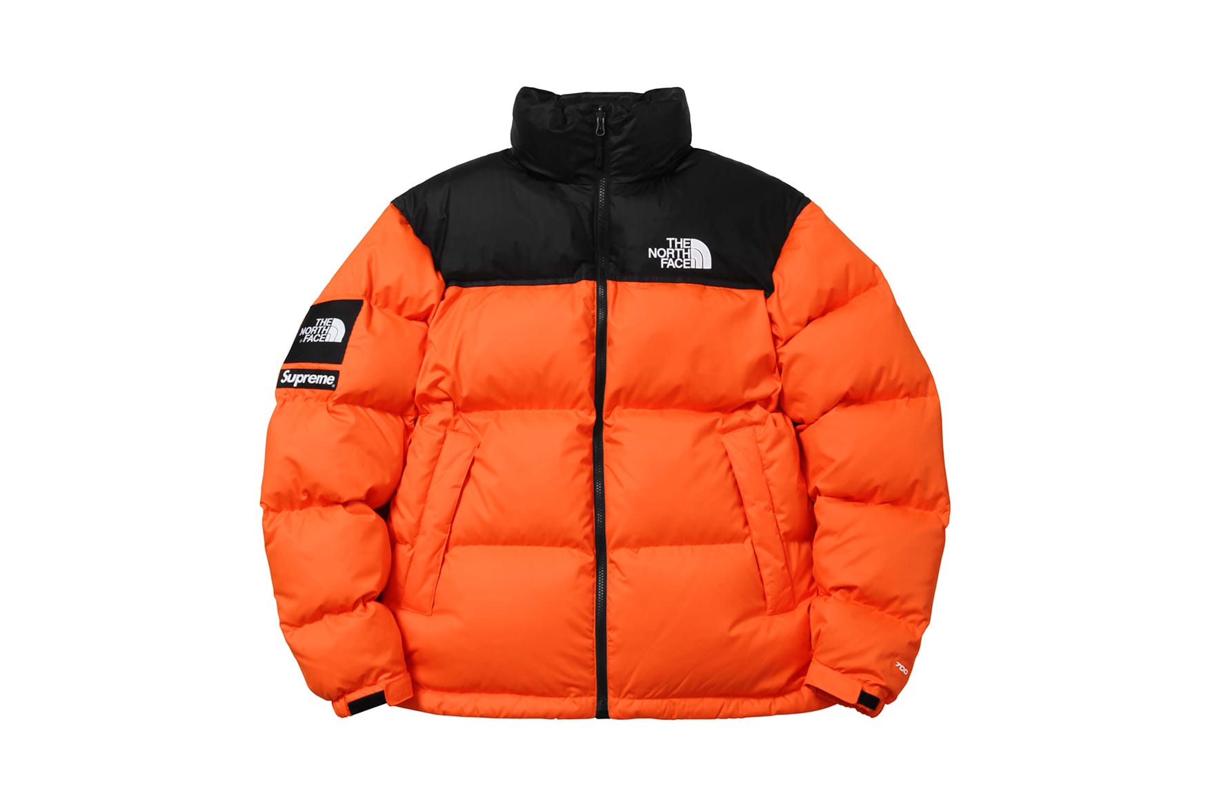 supreme x north face winter jacket