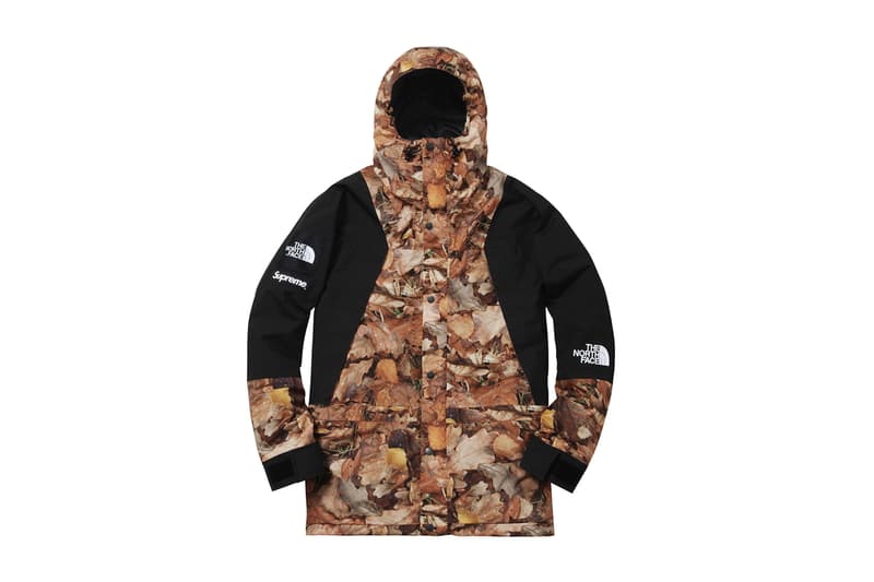 Supreme x The North Face 2016 Fall/Winter Jackets, Real Tree Camo, Tree Camo, Nuptse