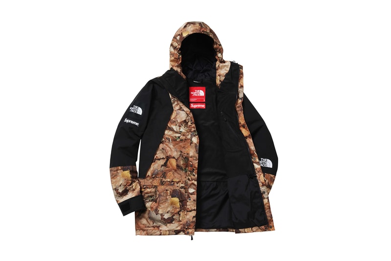 Supreme x The North Face 2016 Fall/Winter Jackets, Real Tree Camo, Tree Camo, Nuptse