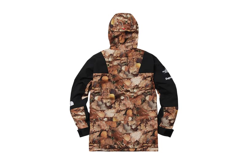 Supreme x The North Face 2016 Fall/Winter Jackets, Real Tree Camo, Tree Camo, Nuptse