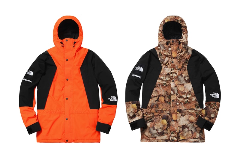 Supreme x The North Face 2016 Fall/Winter Jackets, Real Tree Camo, Tree Camo, Nuptse
