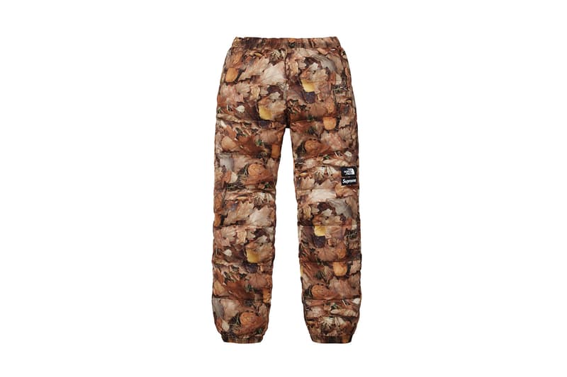 Supreme x The North Face 2016 Fall/Winter Jackets, Real Tree Camo, Tree Camo, Nuptse