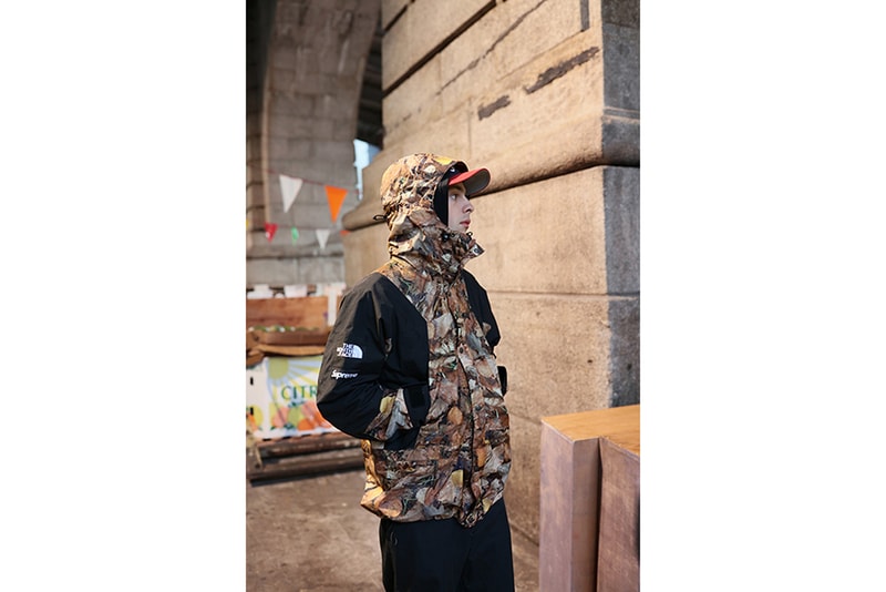 Supreme x The North Face 2016 Fall/Winter Jackets, Real Tree Camo, Tree Camo, Nuptse