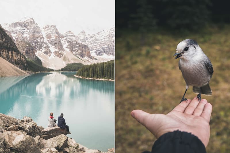 canada calgary photographer artist davey gravy