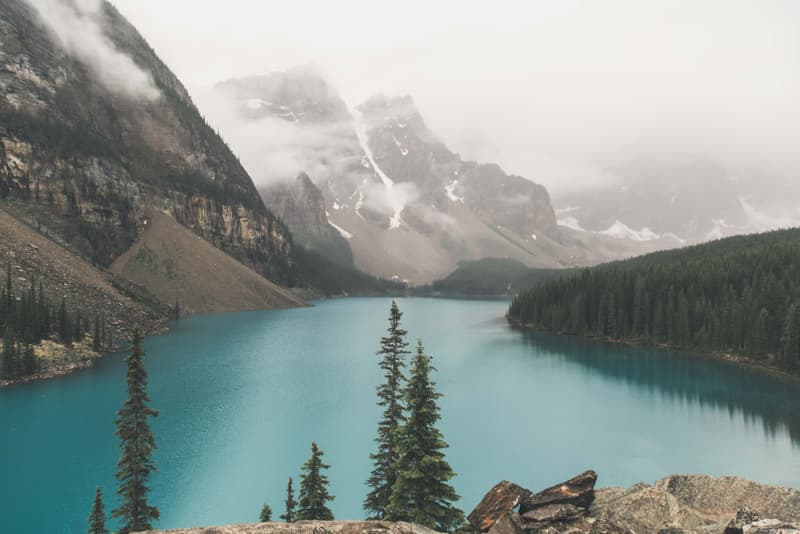 canada calgary photographer artist davey gravy