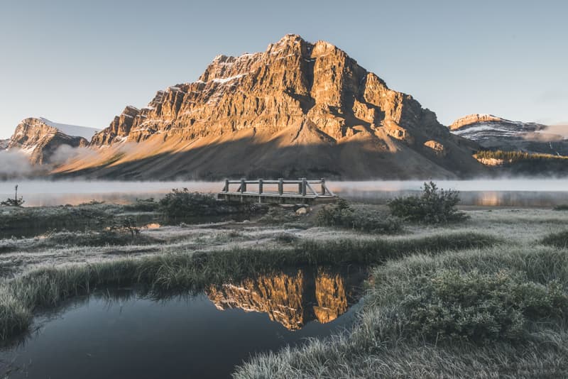 canada calgary photographer artist davey gravy