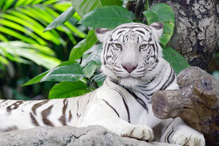 YouTube Adds HDR Support for Much Improved Video Quality