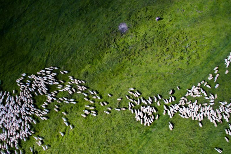 Best Drone Photography 2016