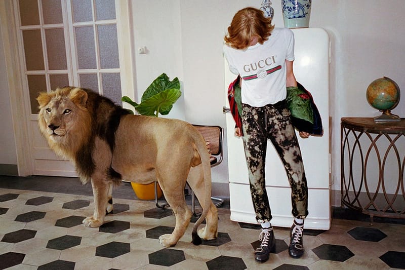 Gucci's Big Cats Take Over Rome for Its 2017 Spring/Summer Campaign