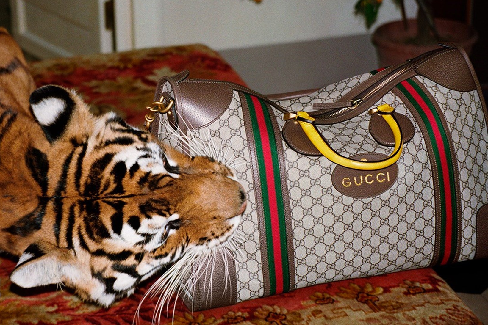 Gucci 2017 Spring/Summer Campaign