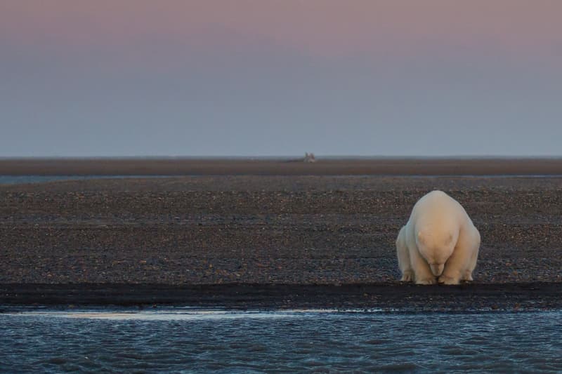 national geographic nature photographer 2016