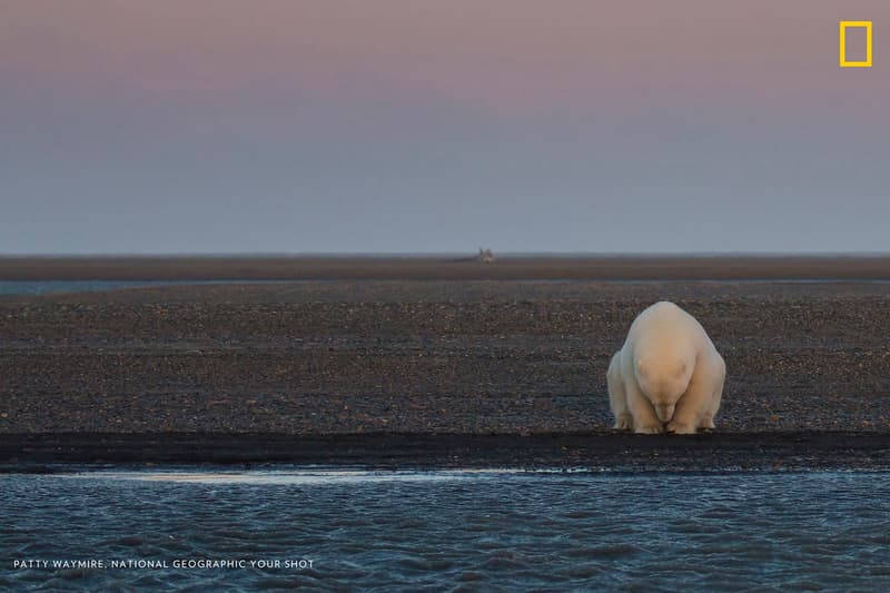 National Geographic Global Warming Photography