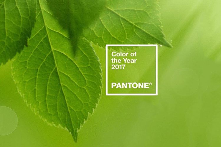 Pantone's New Color of the Year 2017 Is Officially Announced